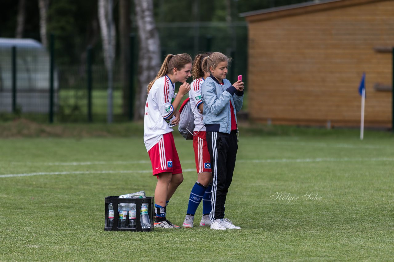 Bild 349 - wBJ Hamburger SV : SV Henstedt Ulzburg : Ergebnis: 4:2